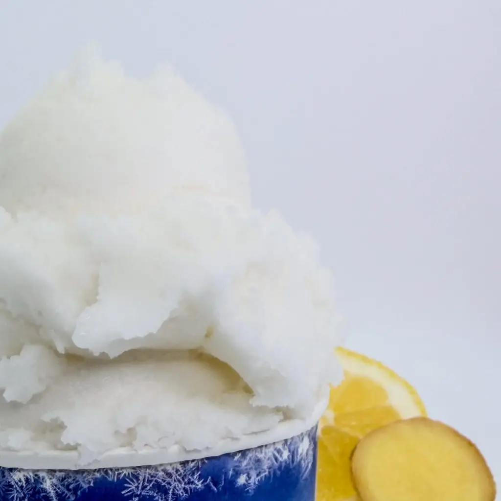Sorbet Kéfir de Fruits