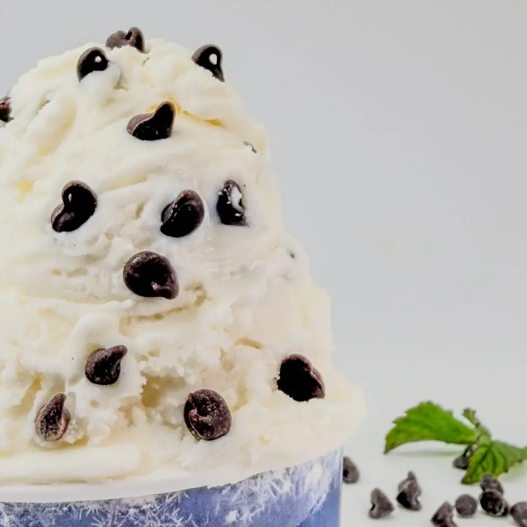 Crème Glacée Menthe Chocolat