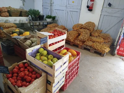 la ferme rey